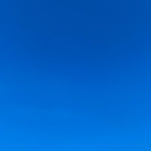 Meet your Posher, Violet